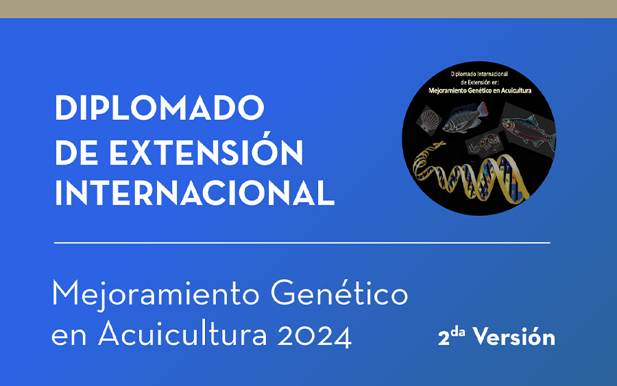 Diplomado de Extensión Internacional